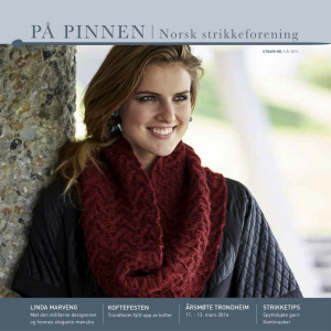 På Pinnen nr. 1 2015